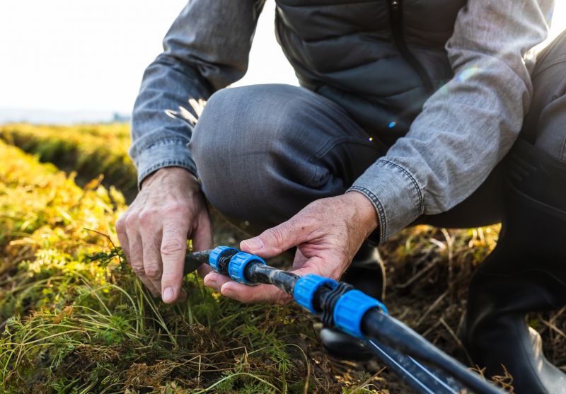 Leach Line Repair detail